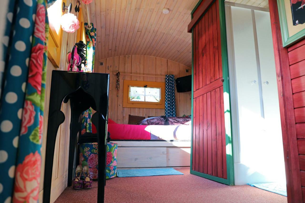 Bed and Breakfast Roulotte La Dominique Romery  Экстерьер фото